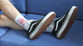 【袜啵啵】NO.143 稚予-匡威板鞋、vans帆布鞋、两双白棉袜