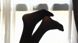 【袜啵啵】NO.396 小甜豆-两双高跟鞋、油亮黑丝（脚尖微加固款）、油亮蓝丝（脚尖微加固款）、蓝色丝踩西红柿，黑色丝踩奶油泡芙剧情（花絮版）_1