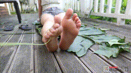 【IMZSOCK爱美足】 原版 NO.362 美琳