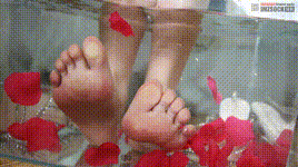 【爱美足IMZSOCK】 原版 NO.421 小点心