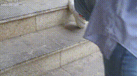 【袜啵啵】1080P-NO.069 小甜豆-vans板鞋、白棉袜、肉丝