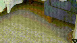 【袜啵啵】1080P-NO.264 果冻-高跟鞋、贝壳头板鞋、黑丝大腿袜、白丝大腿袜封面图