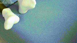 【袜啵啵】1080P-NO.437 稚予-女仆装、人字拖、薄黑丝（脚尖加固款）、白棉袜、裸足、撕破丝袜剧情（花絮版）封面图